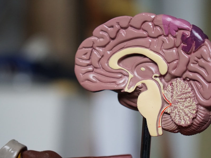 INFJ 情绪界限的神经科学：三层防护打造稳固能量