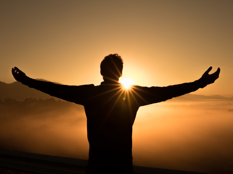 INFJ 的发展阶段：从自我觉醒到价值化身